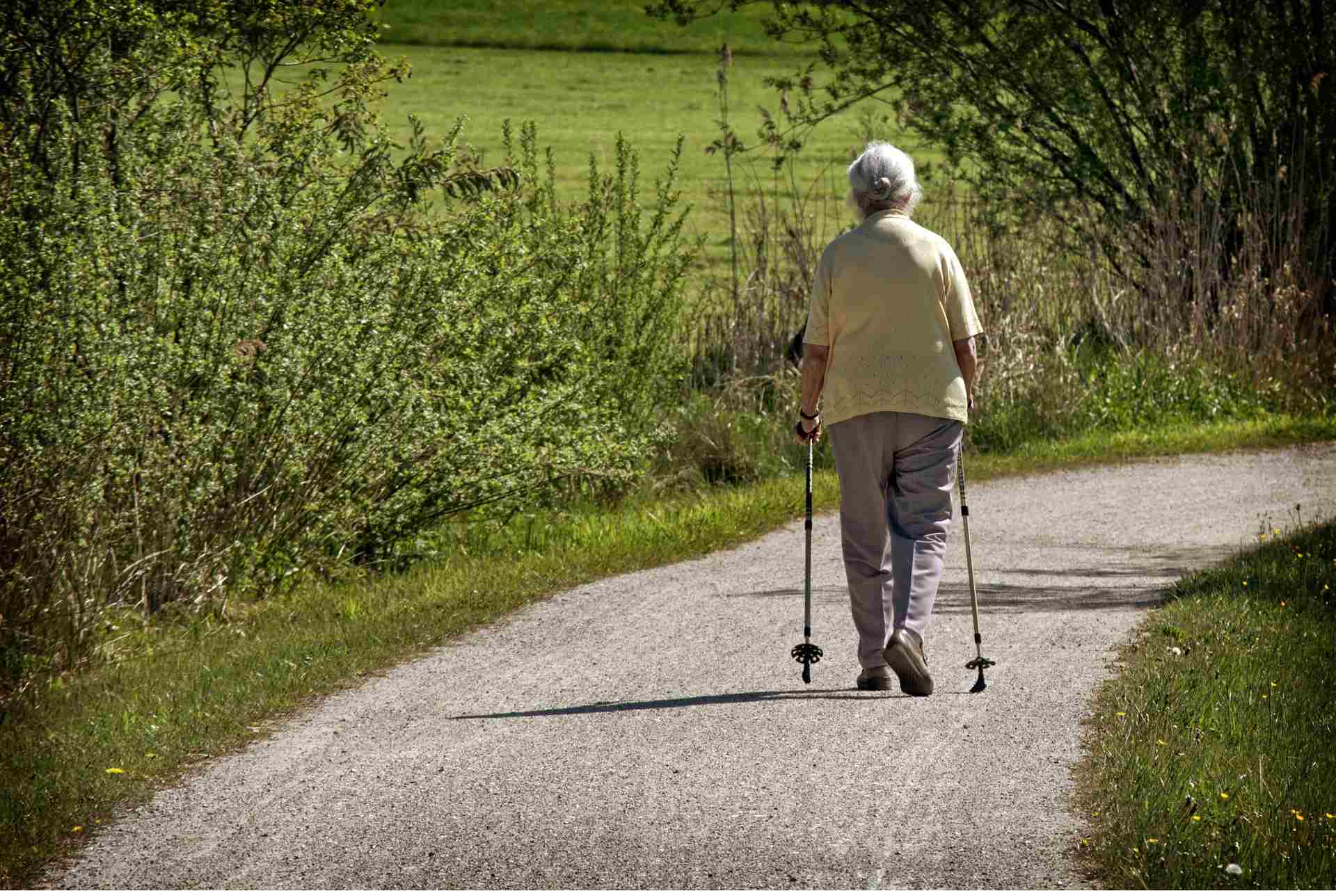 Eine Senioren beim Nordic Walking