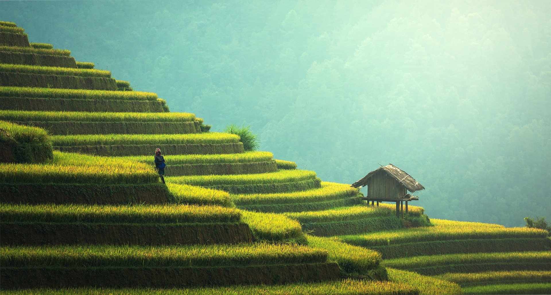 Ein Bild von thailändischer Hügellandschaft